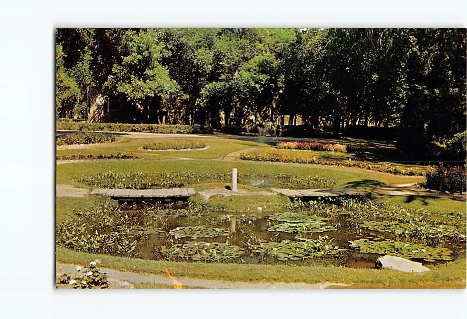 Postcard Sunken Gardens Roosevelt Park Minot North Dakota USA