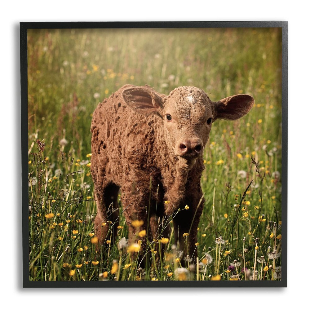 BaBy Calf Cow Among Flower Blossom Meadow Framed Wall Art, Design By Daphne P...