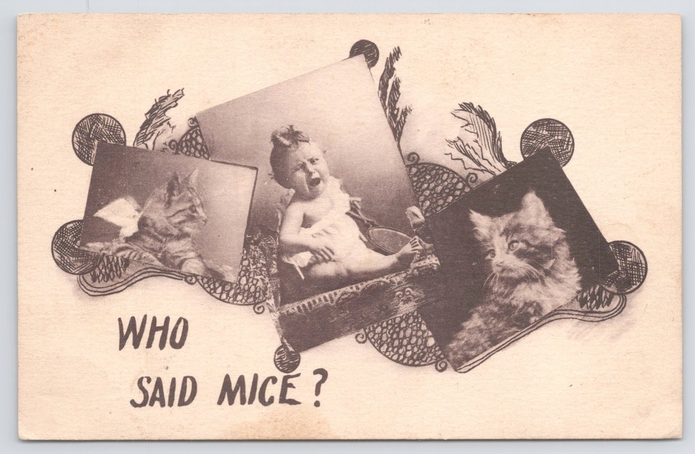 Animal~Two Kittens & Baby Who Said Mice B&W Card~Vintage Postcard