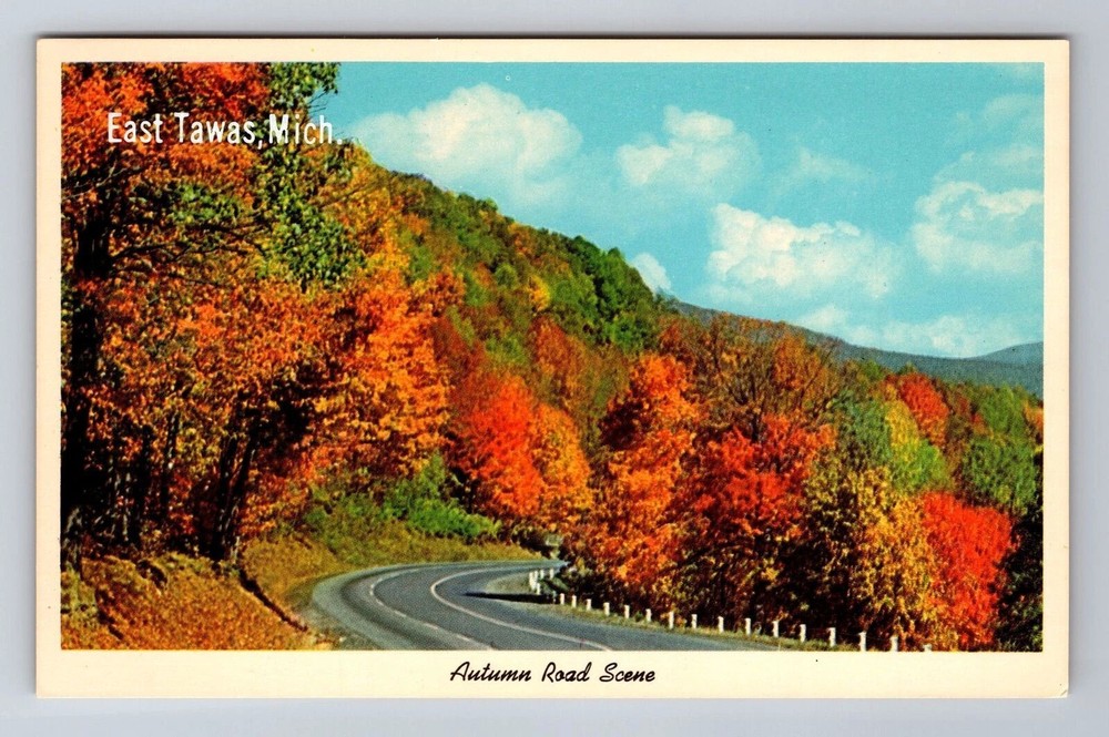 East Tawas MI-Michigan, General Greetings, Autumn Trees, Vintage Postcard