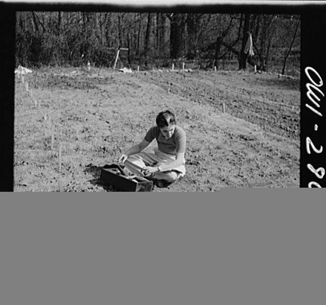 Photo:Washington DC 1940s Victory Garden Northwest Section Woman Gardening