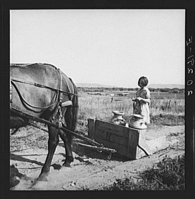 Yakima Valley,Washington,WA,Farm Security Administration,Dorothea Lange,FSA,7 1