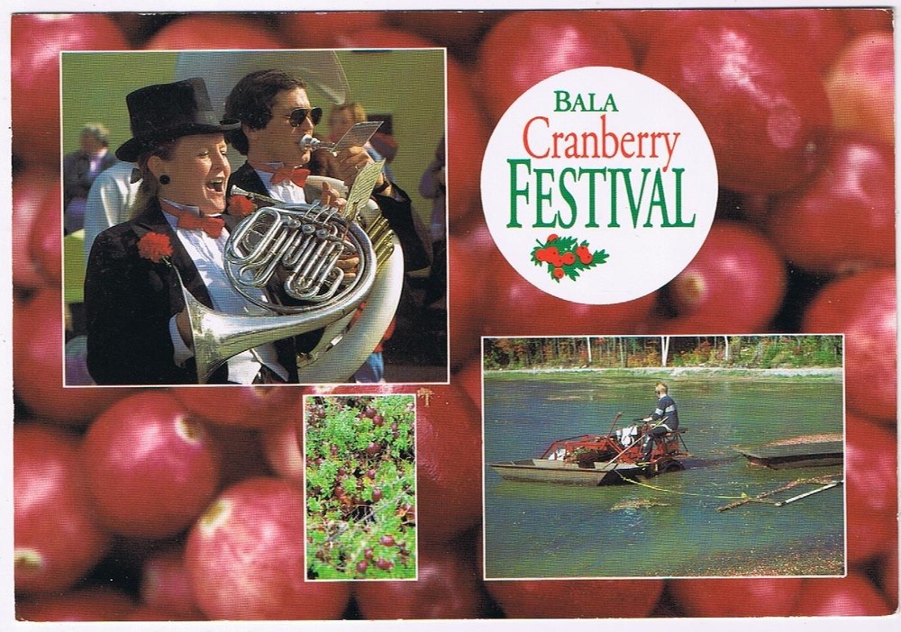 Postcard  Bala Muskoka Ontario Cranberry Festival