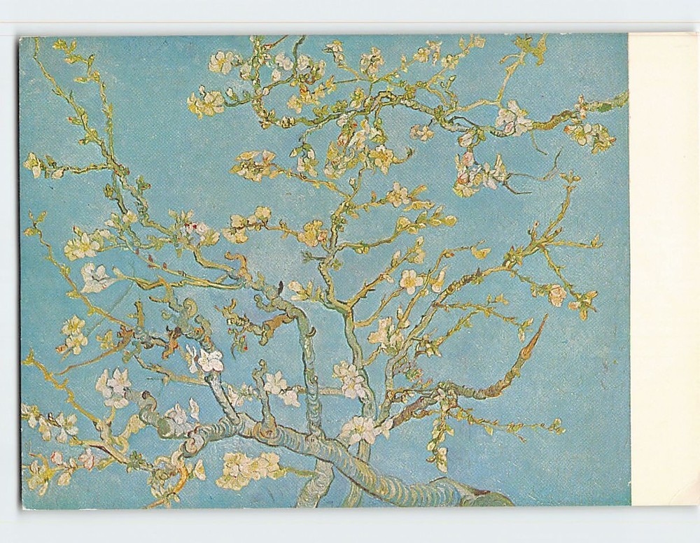 Postcard Blooming Almondbranch Painting by Vincent Van Gogh