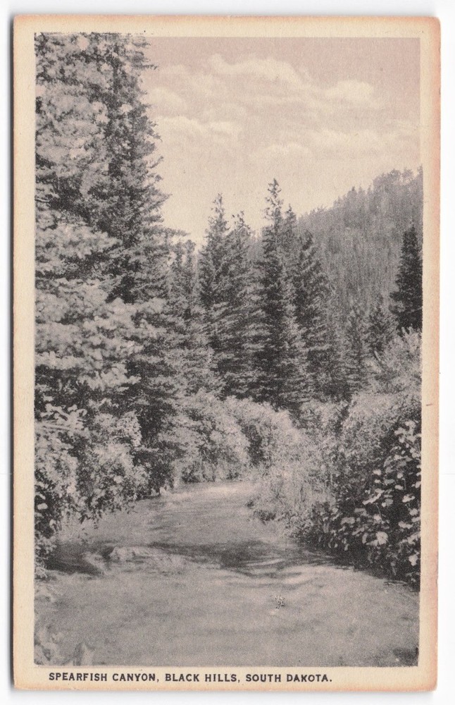 Vintage Spearfish Canyon Black Hills South Dakota Postcard Harold Wanless