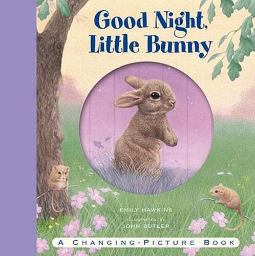Good Night, Little Bunny by Emily Hawkins: Used