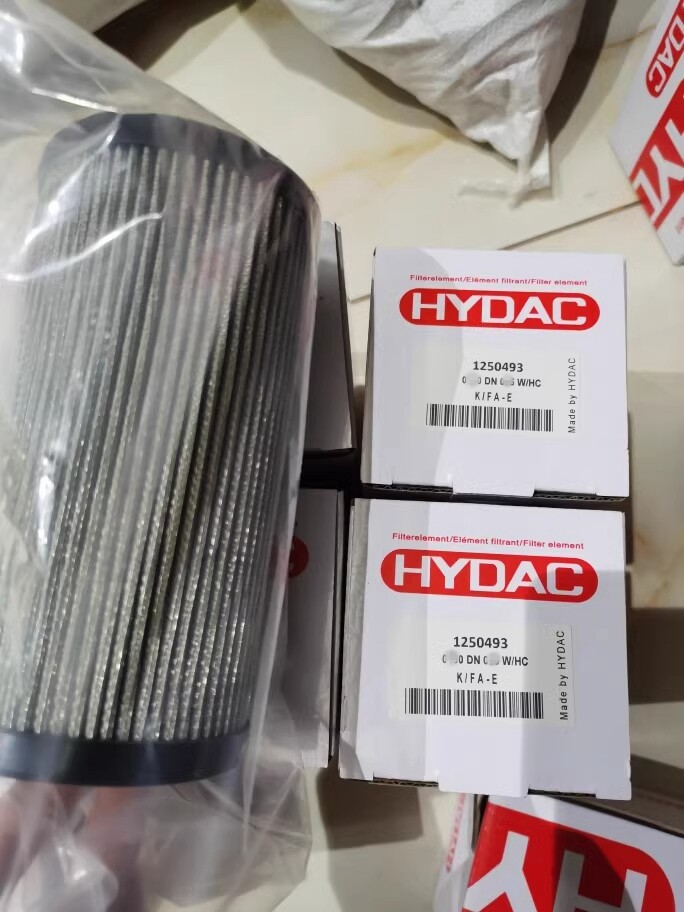 QTY:1 NEW FOR HYDAC 0250 DN 100 W/HC filter element 0250DN100W/HC