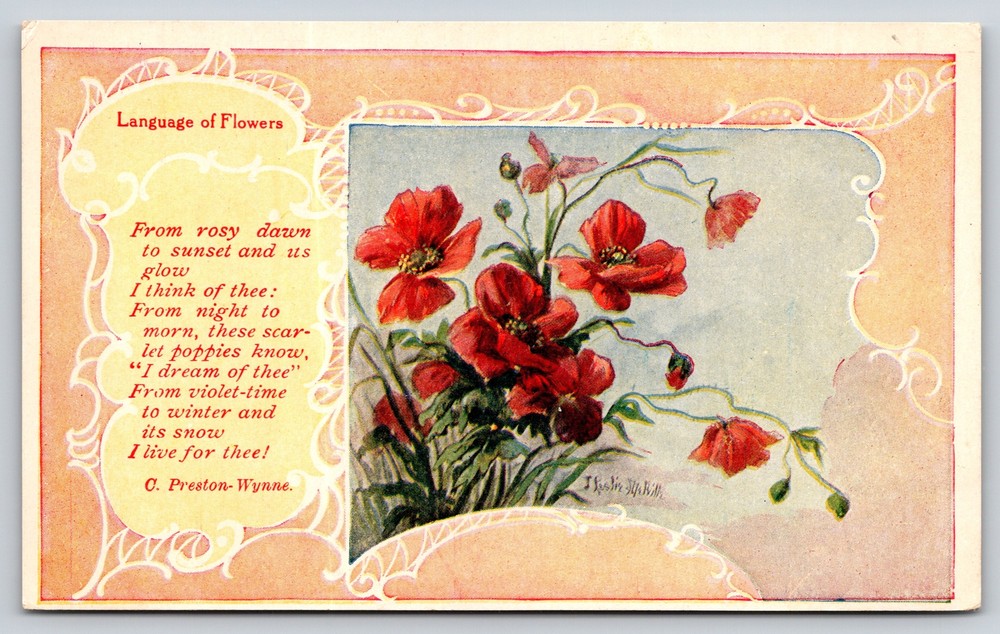 Language of Flowers~Scarlet Poppy Dreams~C Preston Wynne~J Leslie Melville~PC