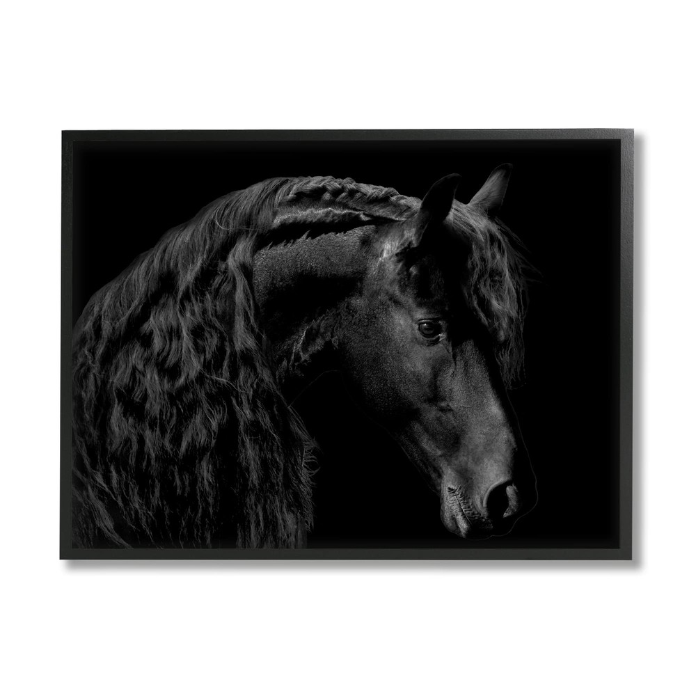 Black Stallion Portrait Braided Horse Mane Modern Photography Framed Wall Art...