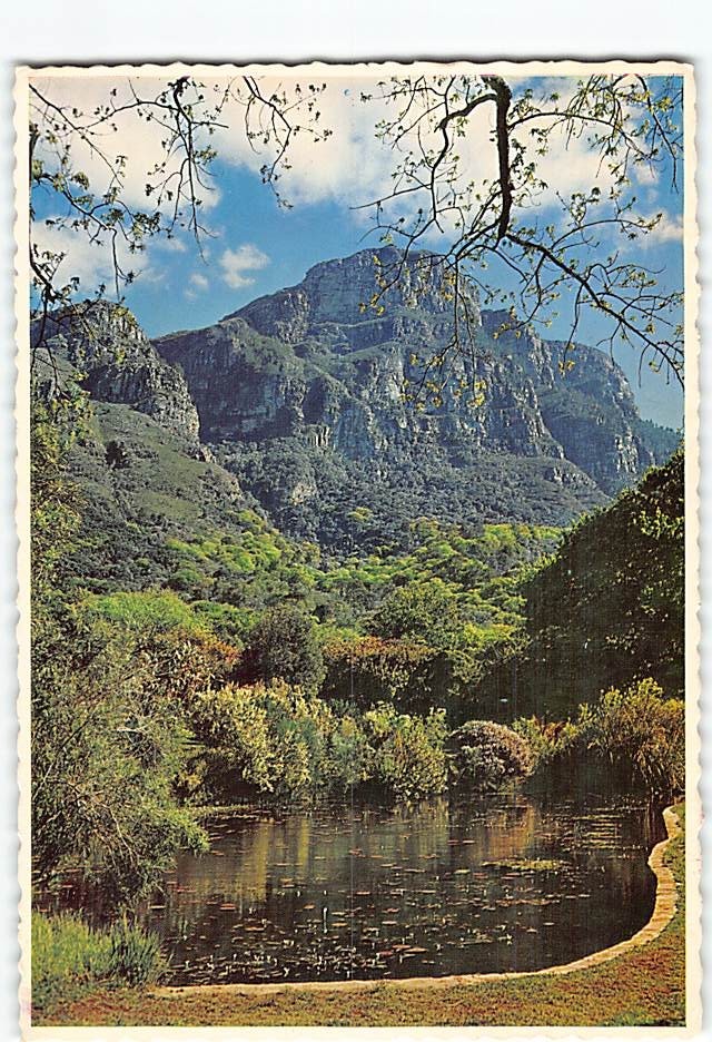 Postcard Kirstenbosch Gardens Cape South Africa