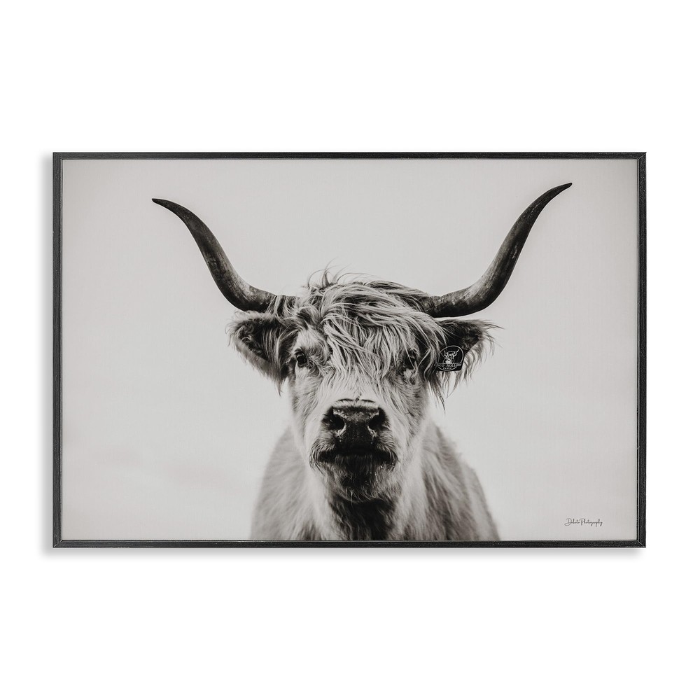 Stupell Industries Calm Cattle Portrait Framed Giclee Art Design by Dakota Di...