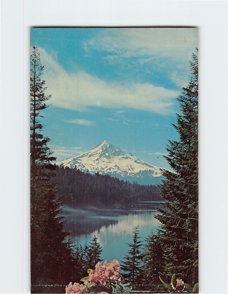 Postcard Morning Scene On Beautiful Lost Lake With Mt. Hood, Oregon