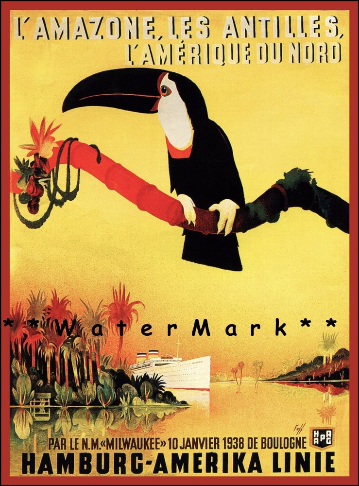 L'Amazone 1938 Hamburg America Ship Line Travel Vintage Poster Print Art