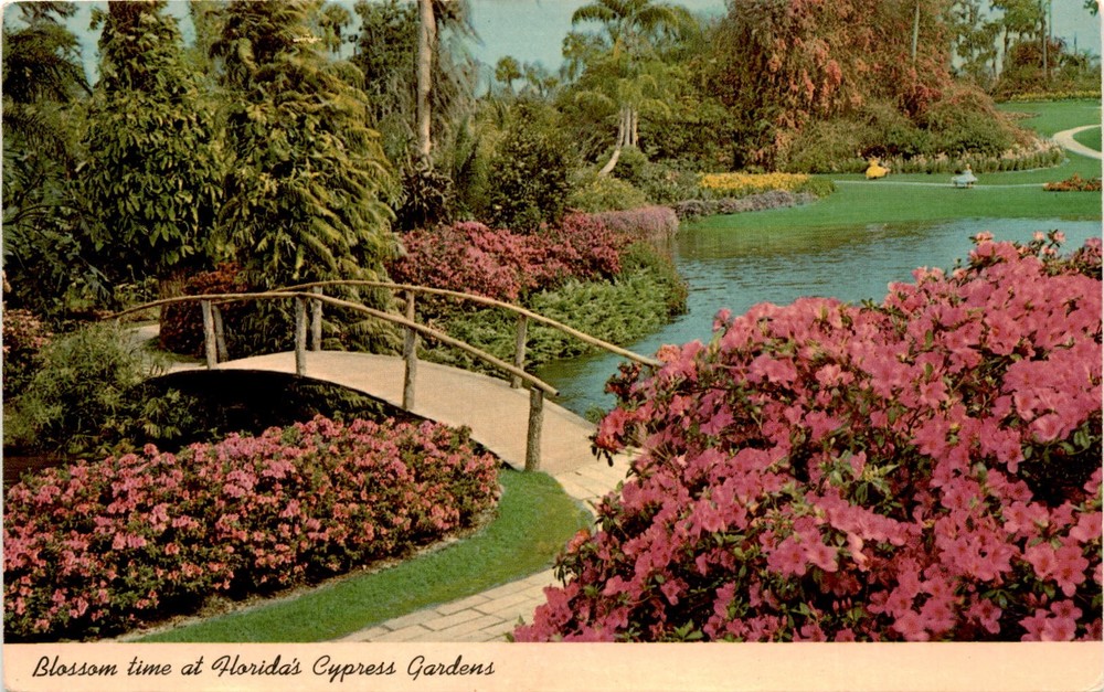 Florida, Cypress Gardens, botanical garden, tropical islands, rustic Postcard