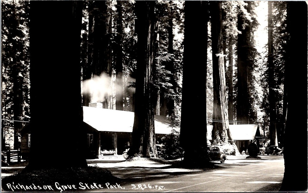 Garberville CA Redwoods Richardson Grove State Park Humboldt RPPC Postcard 35322