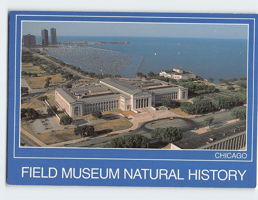 Postcard Field Museum Natural History Chicago Illinois USA