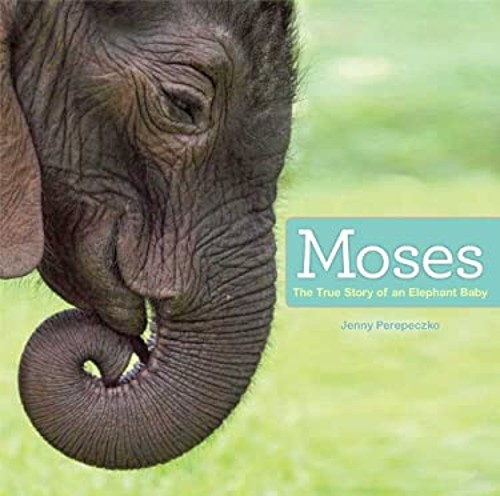 Moses : The True Story of an Elephant Baby Hardcover Jenny PerepeFree US Delivery | ISBN:1442496037