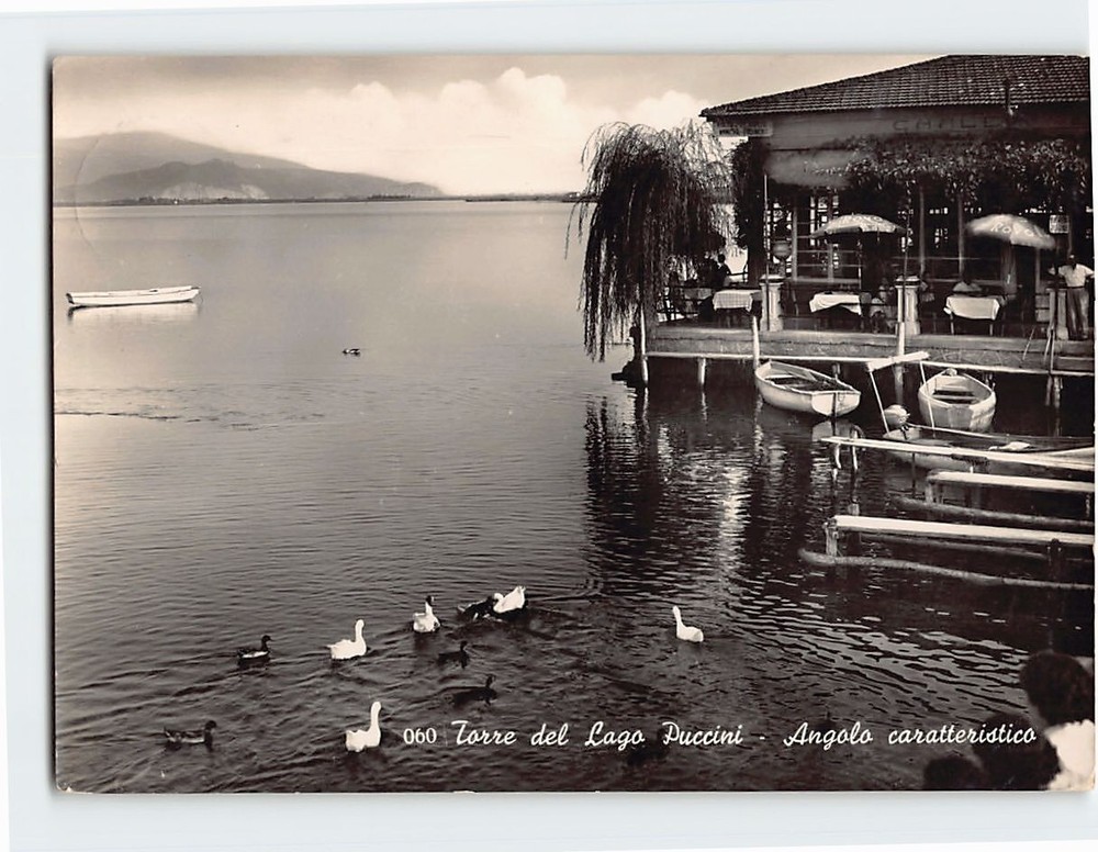 Postcard Torre del Lago Puccini Italy