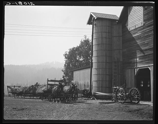 Photo:West Carlton Oregon 1939 Corn Storage Silo Ensilage Cutter Farm Yard