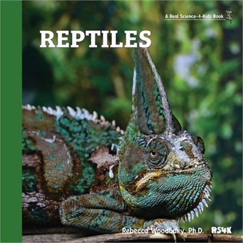Reptiles (Paperback or Softback)