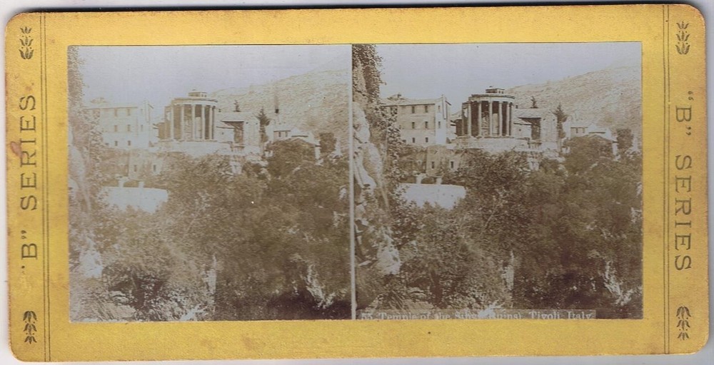 Stereo View Card Stereograph Bad Boy