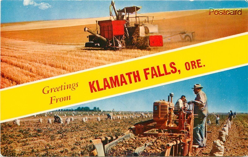 OR, Klamath Falls, Oregon, Farming, Multi View, Colorpicture No. C8967G