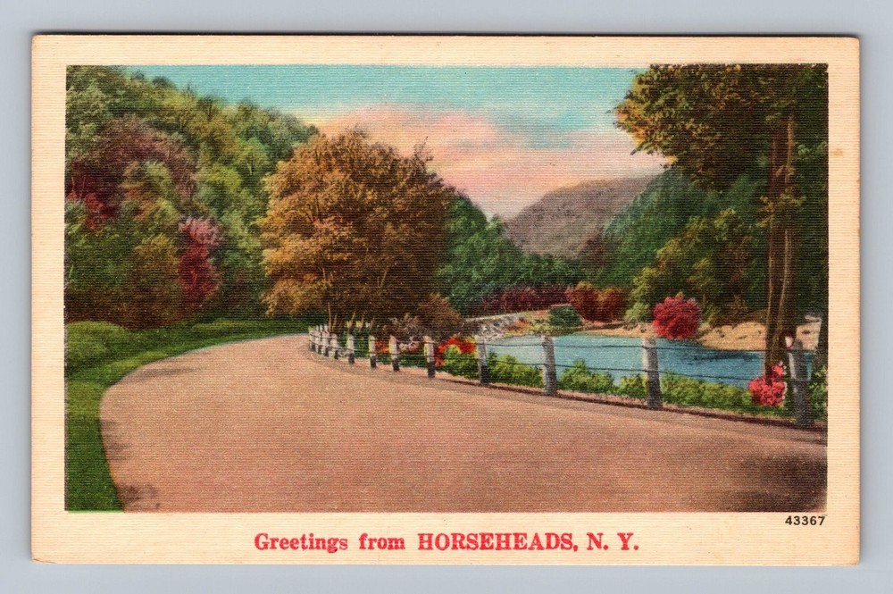 Horseheads NY-New York Scenic Road General Greetings Lake Vintage Postcard Card