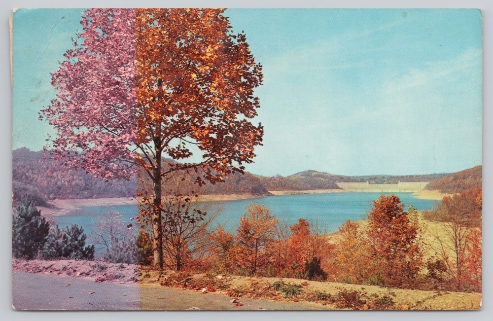 Grafton West Virginia, Tygart River Valley Lake, State Park, Vintage Postcard