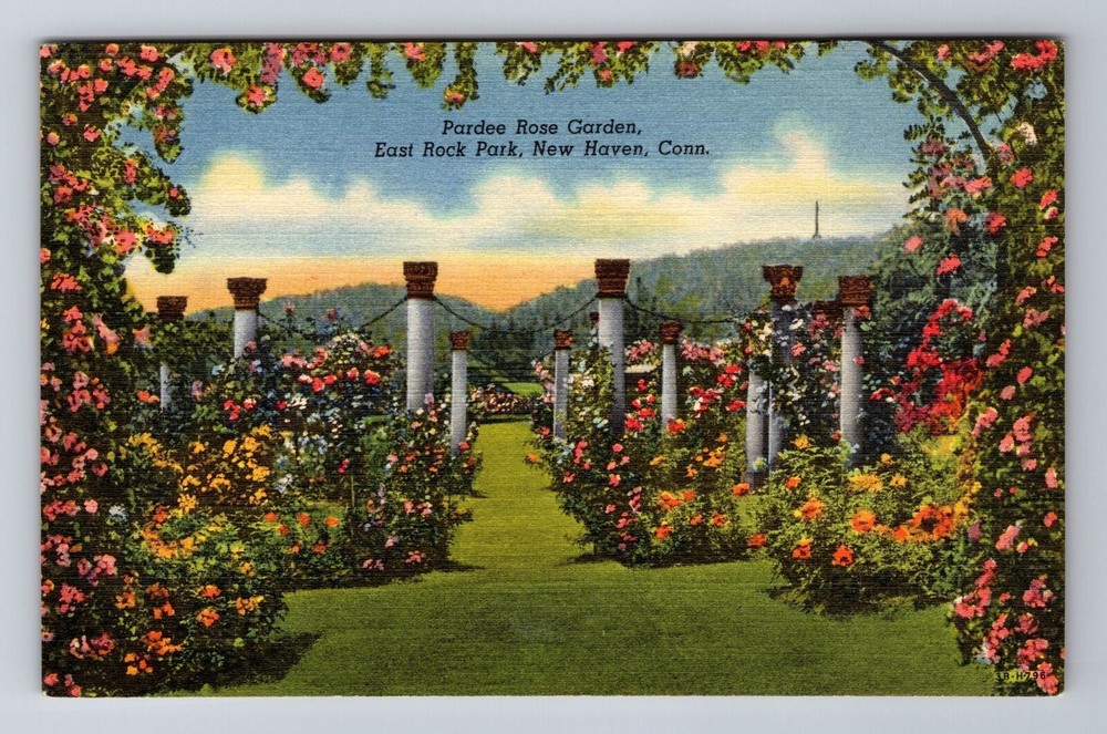 New Haven CT-Connecticut, Pardee Rose Garden, East Rock Park, Vintage Postcard