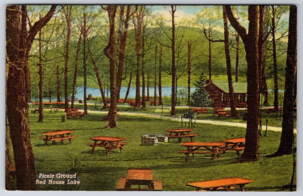 NY Allegany State Park Red House Lake Picnic Grounds Curt Teich Linen Postcard