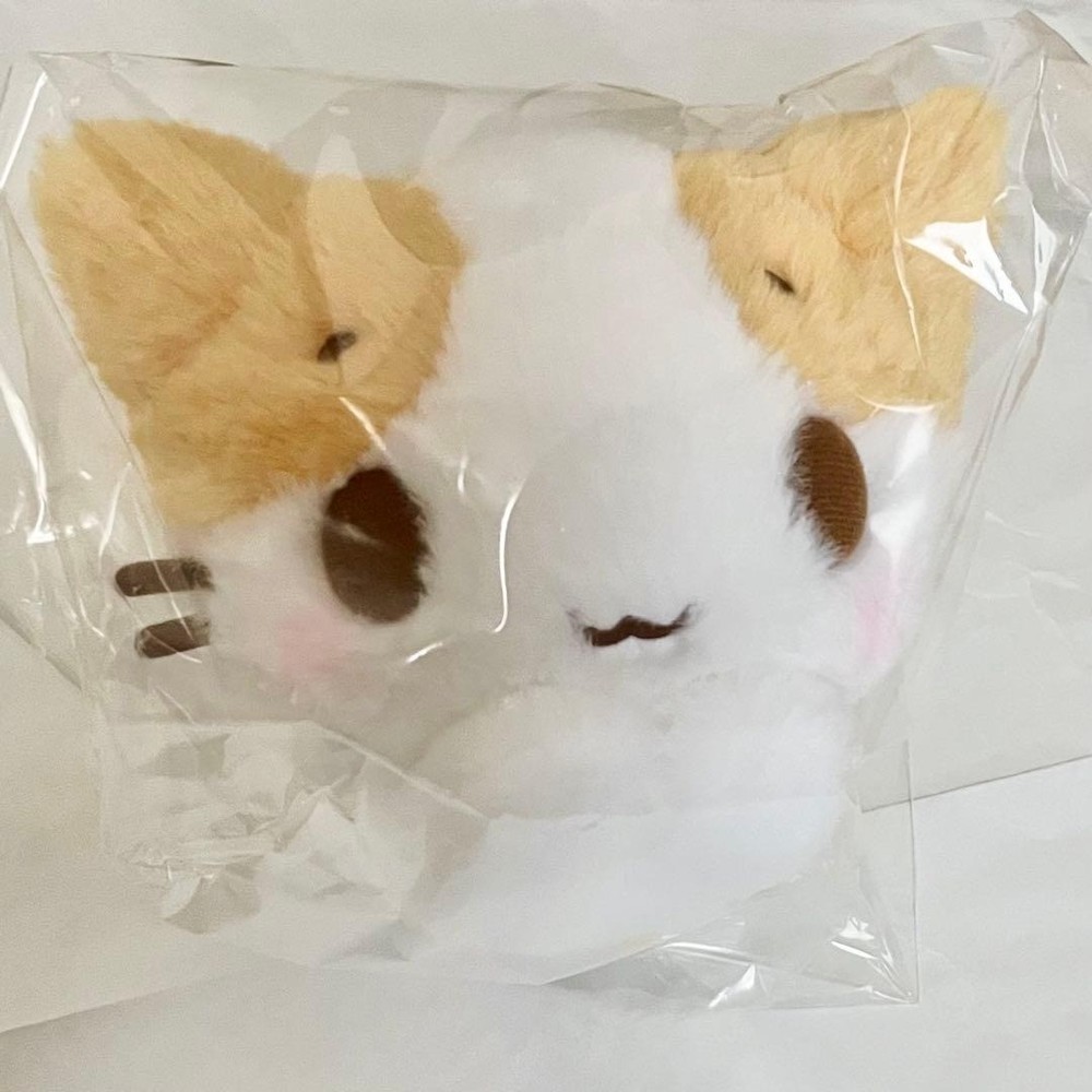 [NEW] Sanrio My Melody Fluffy Marshmallow Cat Plush S Unopened From Japan