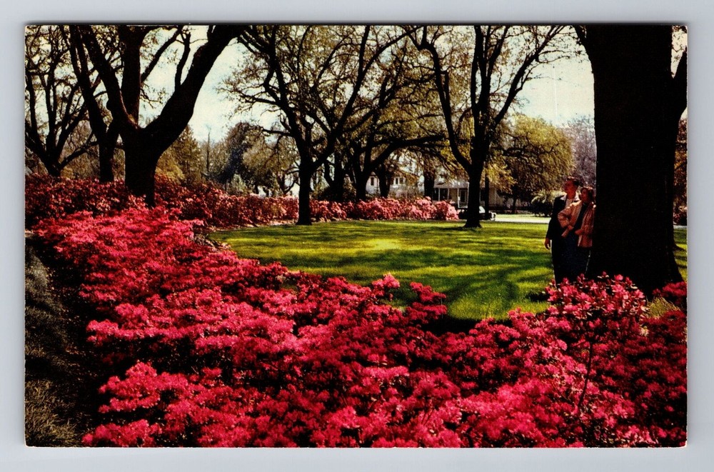 Mobile AL-Alabama, Azalea Time, General Braxton Bragg Home, Vintage Postcard