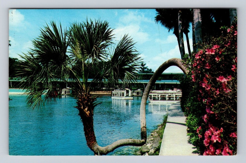 Silver Springs FL-Florida, Glass Bottom Boats, Lucky Palm, Vintage Postcard