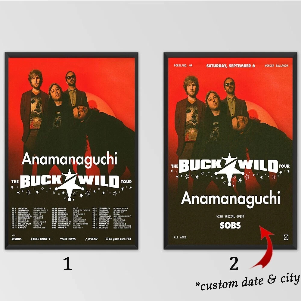 Anamanaguchi 2025 Tour Poster - Custom Chiptune Rock Wall Art