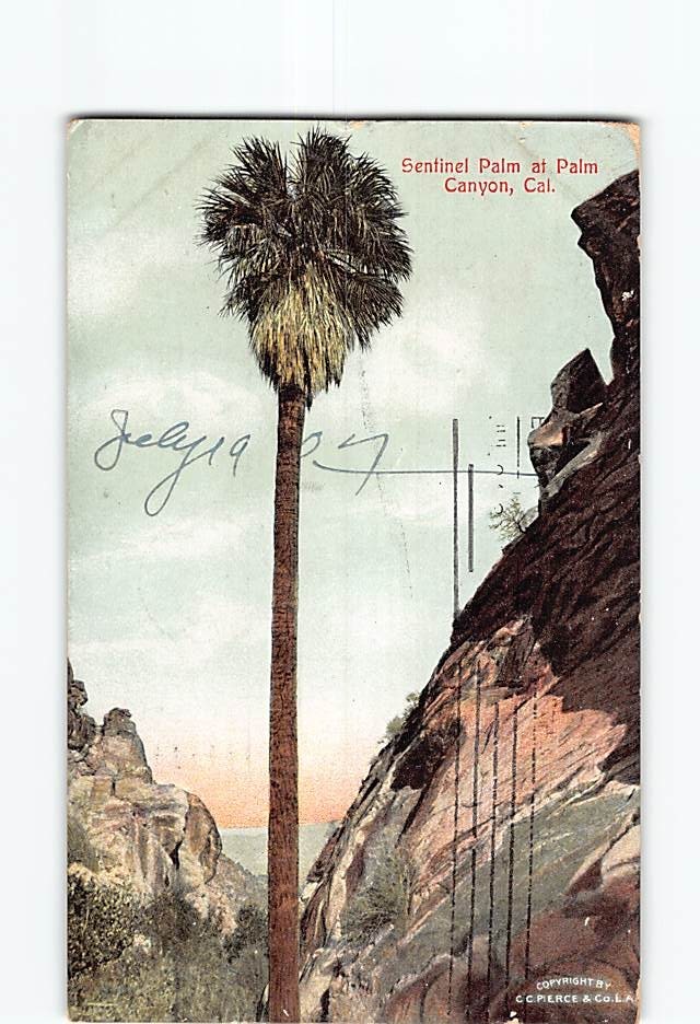 Postcard Sentinel Palm Canyon California USA North America