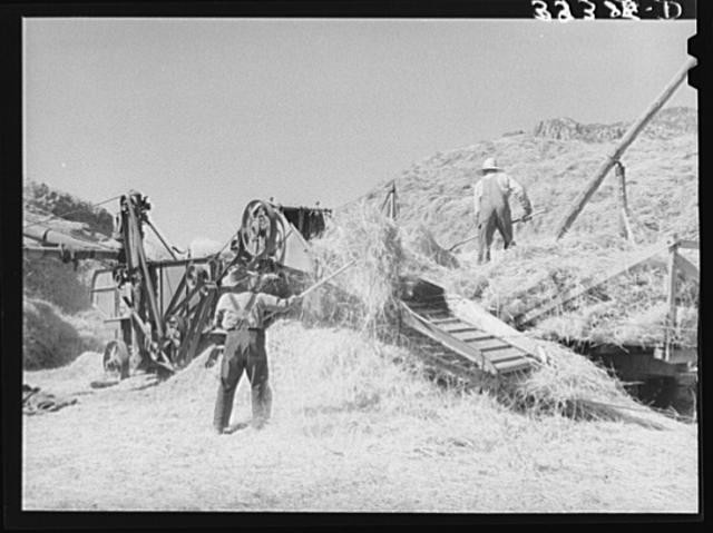 Farm Security Administration,FSA,Box Elder County,Utah,August 1940,Farm Life,1