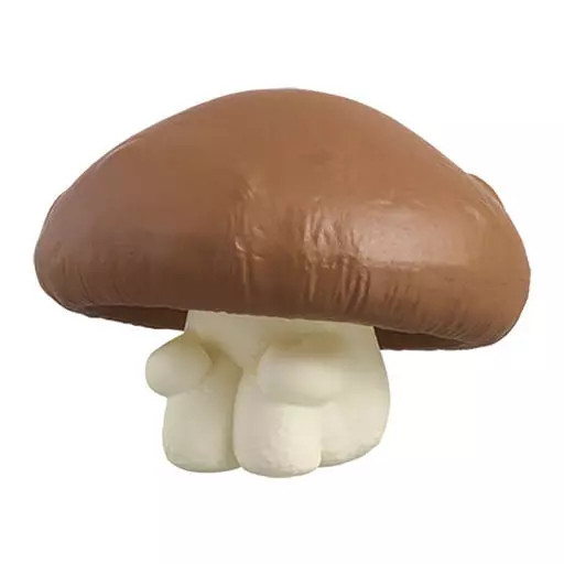 Shiitake Mini Figure Machiboke Mushroom Case Collectible Toy