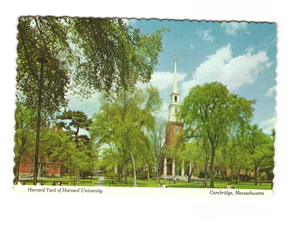 Harvard Yard of Harvard University Cambridge MA vintage postcard unposted