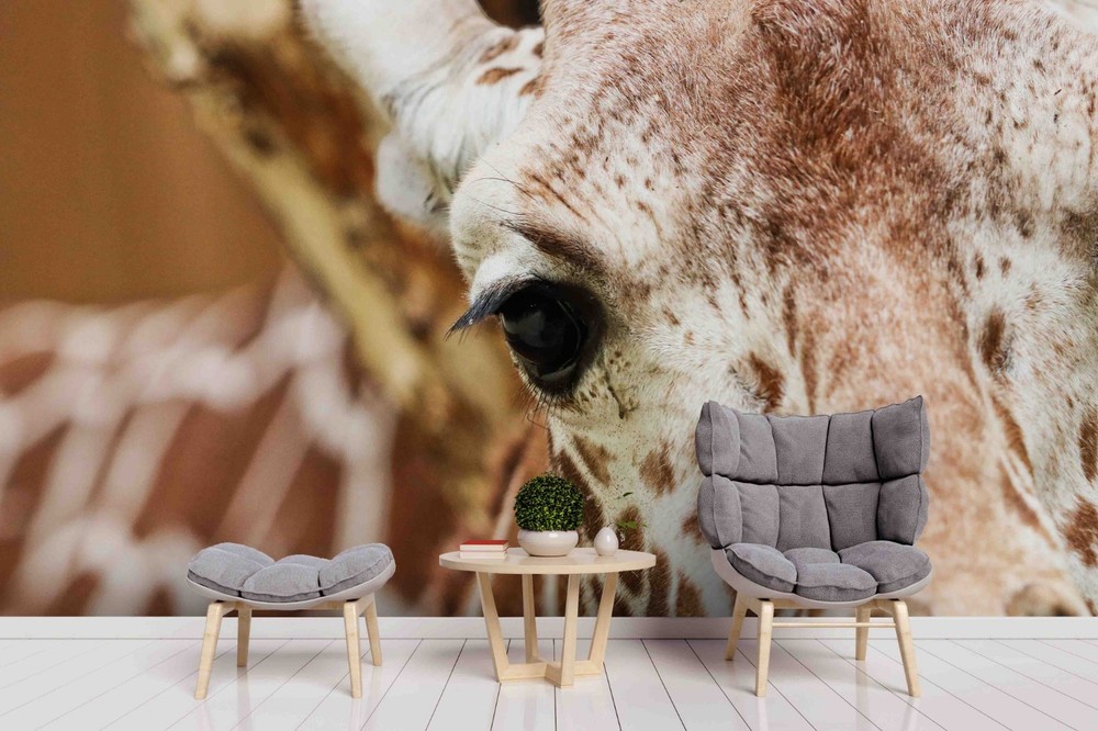 3D Giraffe Animal Close-up Wall Murals Wallpaper Murals Wall Sticker