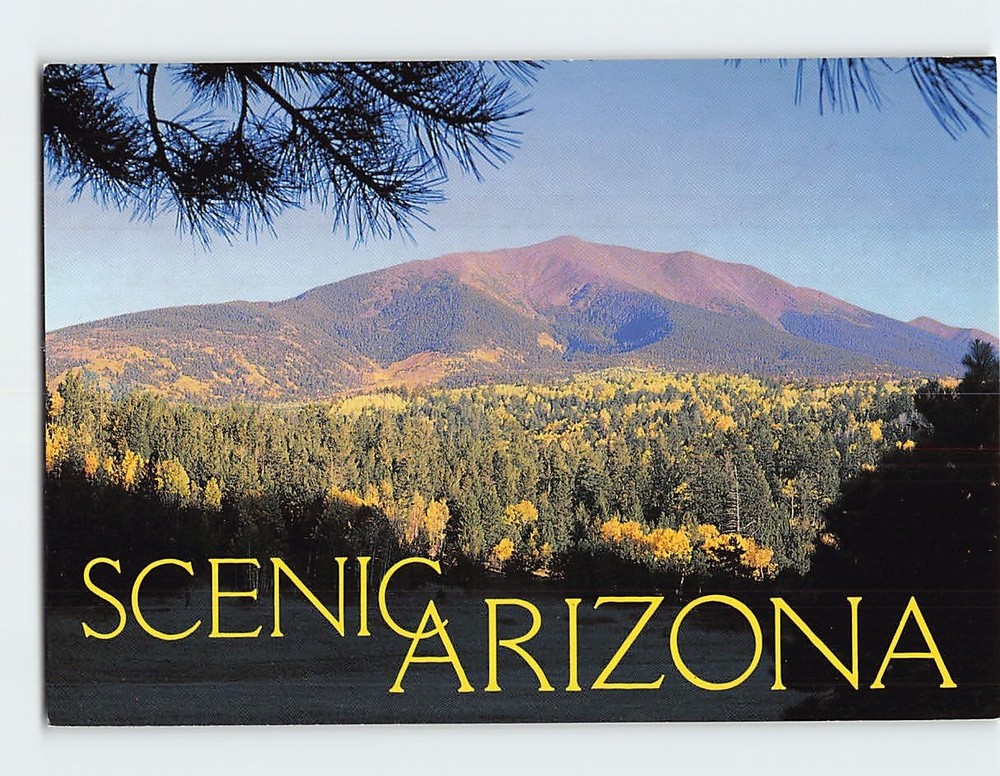 Postcard San Francisco Peaks Scenic Arizona USA
