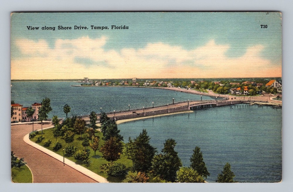 Tampa FL-Florida View Along Shore Drive Vintage c1959 Postcard Standard Postal