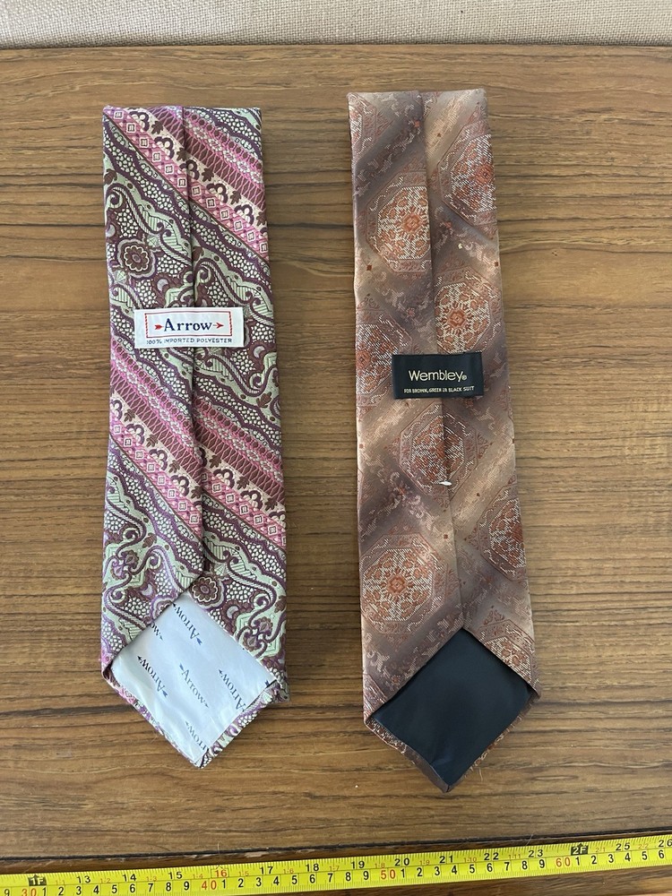 Lot of 2 Vintage Mens Neckties Arrow Wembley Paisley Retro Classic Necktie