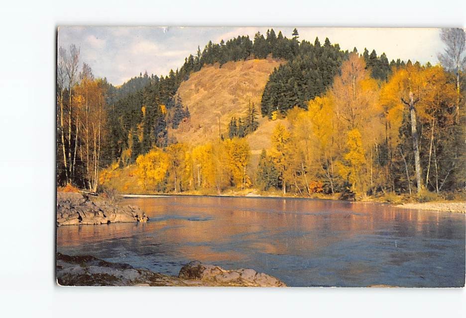 Postcard The Willamette River Oregon USA