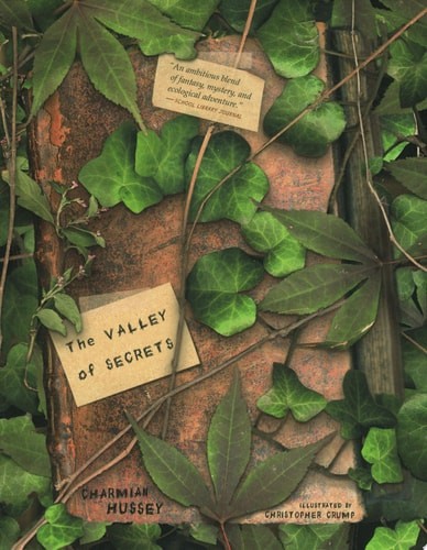 The Valley of Secrets by Hussey, Charmian, Acceptable Book