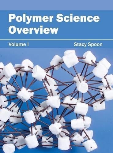 Fundamentals of Polymer Science Volume I Hardback Edition
