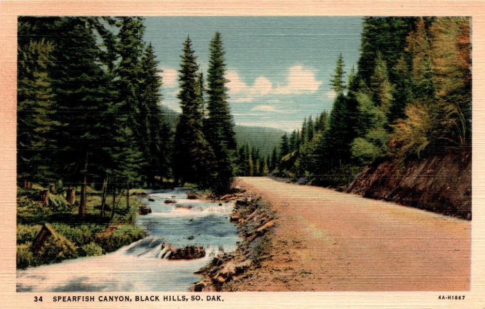 SPEARFISH CANYON, BLACK HILLS, SO. DAK, LEAD, Postcard