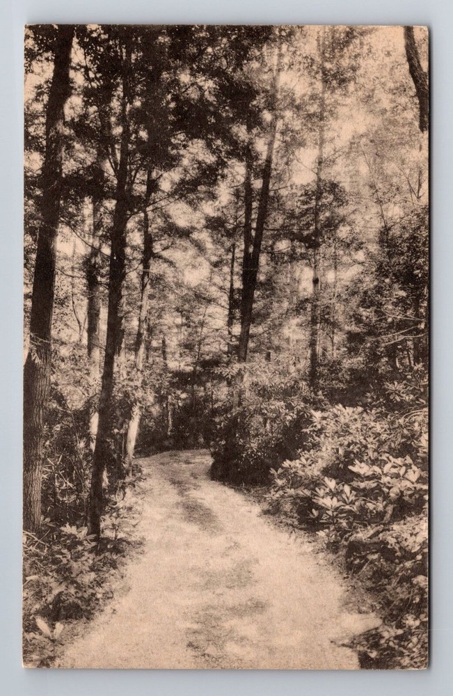 Pocono Manor PA-Pennsylvania, Pocono Manor Inn, Vintage c1948 Souvenir Postcard