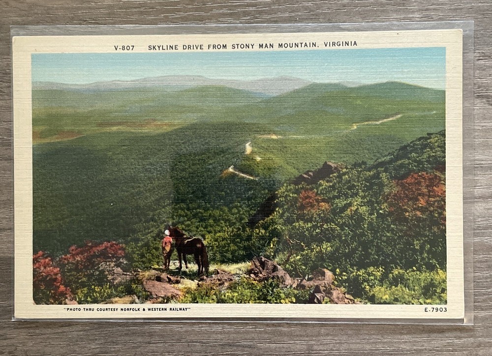 Linen Postcard Skyline Drive from Stony Man Mountain, VA horseback Virginia