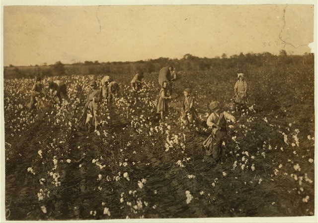 Cotton Pickers,Farm near McKinney,Texas,Child Labor,Lewis Wickes Hine,1913,3