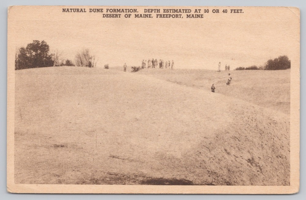 Freeport ME, Desert of Maine Natural Dune Formation, Vintage Postcard